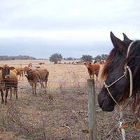 Sue Hansen's profile image