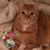 Barbara Franceschina's profile image
