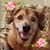 Sandy Strejcek's profile image