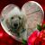 Dorothy Merritt Wilson's profile image