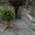 Neda Hijaz's profile image