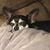 Maude Klang's profile image