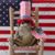 Sandi Coullahan Weigle's profile image