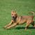 Lynne Grubb's profile image