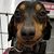 Kim Green's profile image