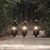 William T. Prater's profile image