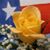 Annette Roberts Nelson's profile image