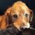 Shelley Coldiron's profile image