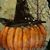 Phyllis Anderson Gragg's profile image