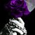 Michelle Young's profile image