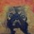 Angela Huneycutt's profile image