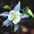 Kathleen J Darland's profile image