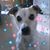 Tina Grace Roberts's profile image