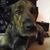 Dawn Pilar's profile image