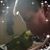 Debbie L Ashley's profile image