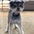 Phillip Mize's profile image