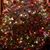 Laura Greca Uccello's profile image