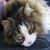 Janet Haring's profile image