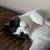Cheryl Bonesteel's profile image