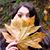 Destiny Willman's profile image