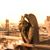 Sandy Brown's profile image