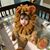 Dana Stecker Stein's profile image