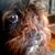 Roger W Martin's profile image