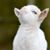 Laurel Deruda's profile image