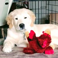 Tanath Marie Perley's profile image