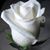 Ravali Balur's profile image