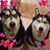 Kimberly Morga's profile image