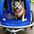 Robin Nuce Barnett's profile image