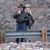 Jerry Nosker's profile image