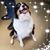 Sheri North Testin's profile image