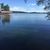 Sharin Adkins's profile image