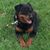 Jeffery Scott Pendley's profile image