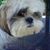 Lucci Moody's profile image