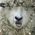 Kathie Jenson Varney's profile image