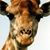 Michelle Nickels's profile image