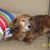 Beth Strobel's profile image