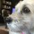 Vanessa Blackmore Patrick's profile image