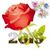 Marsha McClaney-Maxey's profile image