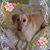 Alyssa Kurtz Hemingway's profile image