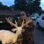 Crockett Jones's profile image
