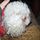 Wyleta M.'s profile image