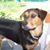 Christine Louise Czarnecki's profile image