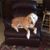 Scott Satterfield's profile image