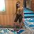 Yolanda Shantee's profile image