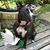 Vicki Walsh's profile image
