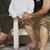 Vickie Singleton's profile image